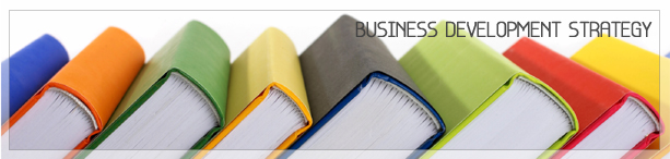 OUR BUSINESS DEVELOPMENT STRATEGY